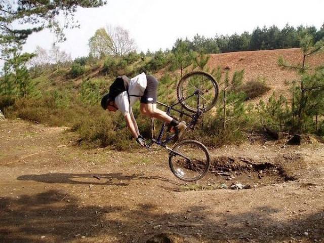 Morning Picdump