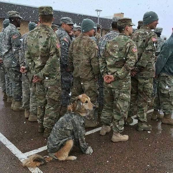 Morning Picdump
