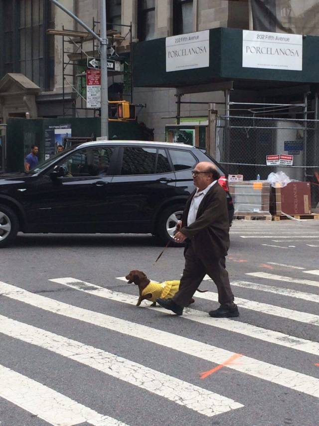 Morning Picdump