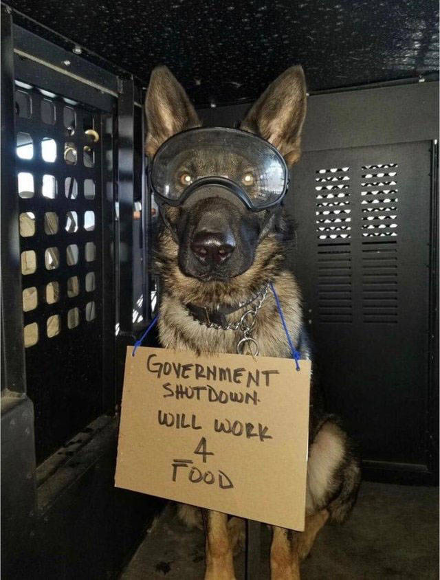 Morning Picdump