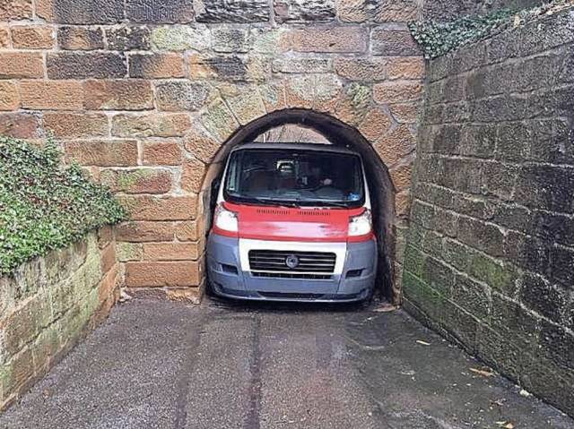 daily picdump weekend edition 63 pics 9.html - 63 HD Photos | Premium Gallery 2019