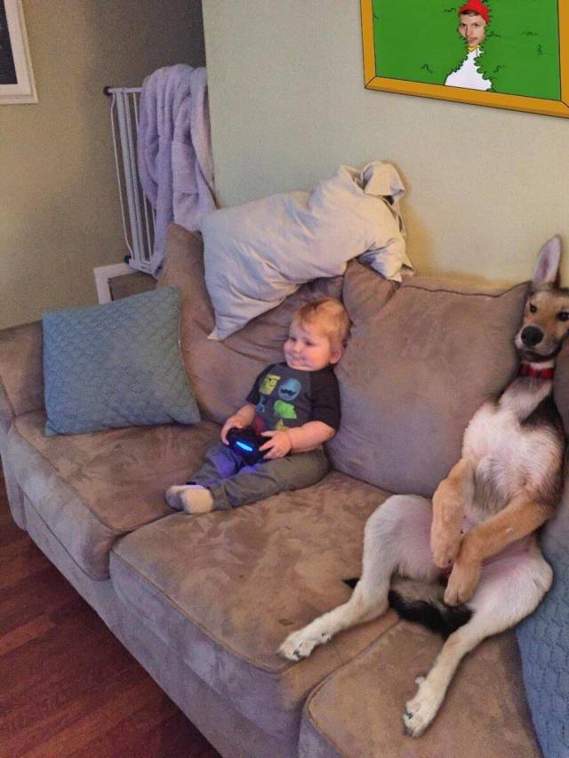 daily picdump weekend edition 63 pics 9.html - 63 HD Photos | Premium Gallery 2019