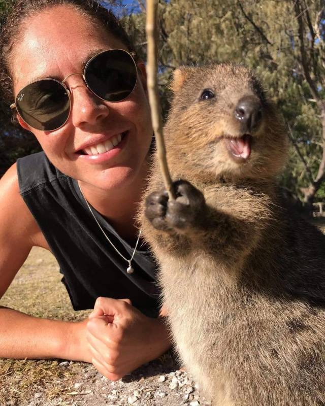 daily picdump weekend edition 63 pics 9.html - 63 HD Photos | Premium Gallery 2019