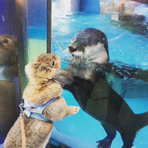 daily picdump 103 pics 51.html - 103 HD Photos | Premium Gallery 2019