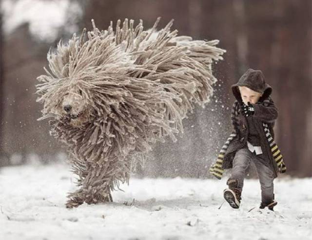 Daily Picdump