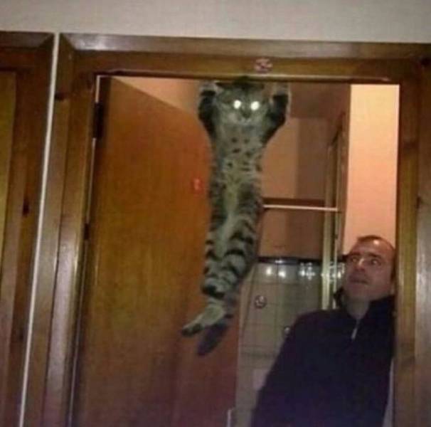 Daily Picdump