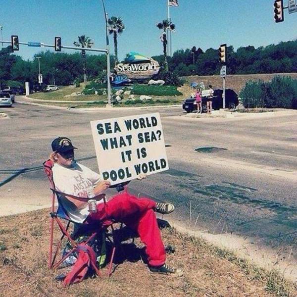daily picdump 103 pics 51.html - 103 HD Photos | Premium Gallery 2019