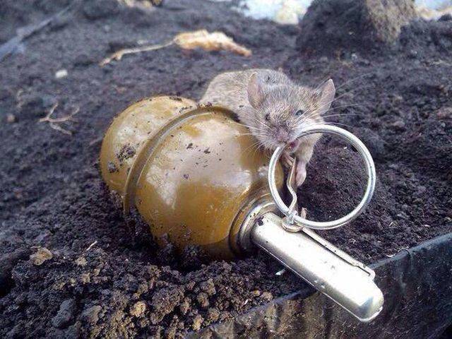 daily picdump 103 pics 51.html - 103 HD Photos | Premium Gallery 2019