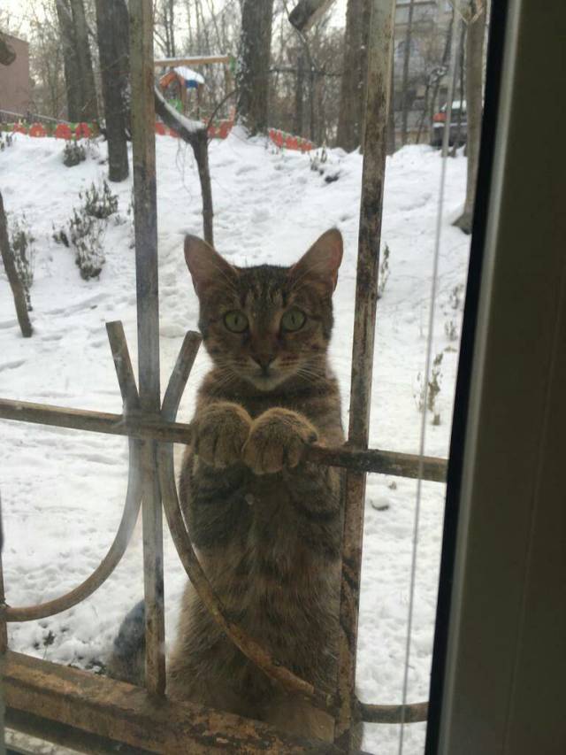 daily picdump 103 pics 51.html - 103 HD Photos | Premium Gallery 2019