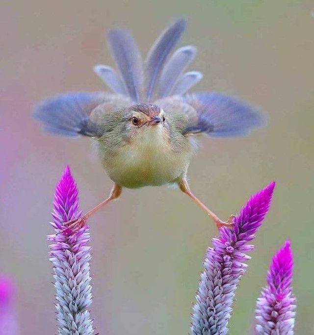 daily picdump 103 pics 51.html - 103 HD Photos | Premium Gallery 2019