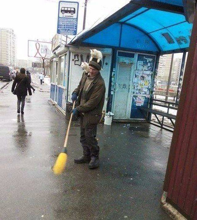 daily picdump 103 pics 51.html - 103 HD Photos | Premium Gallery 2019