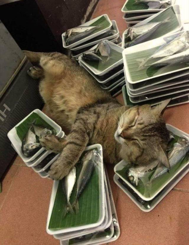 daily picdump 93 pics 35.html - 93 HD Photos | Premium Gallery 2019