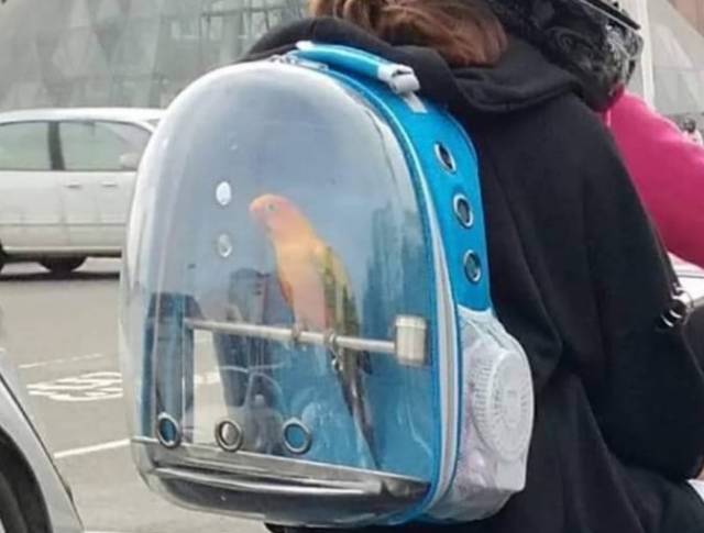 Morning Picdump
