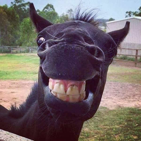 Morning Picdump
