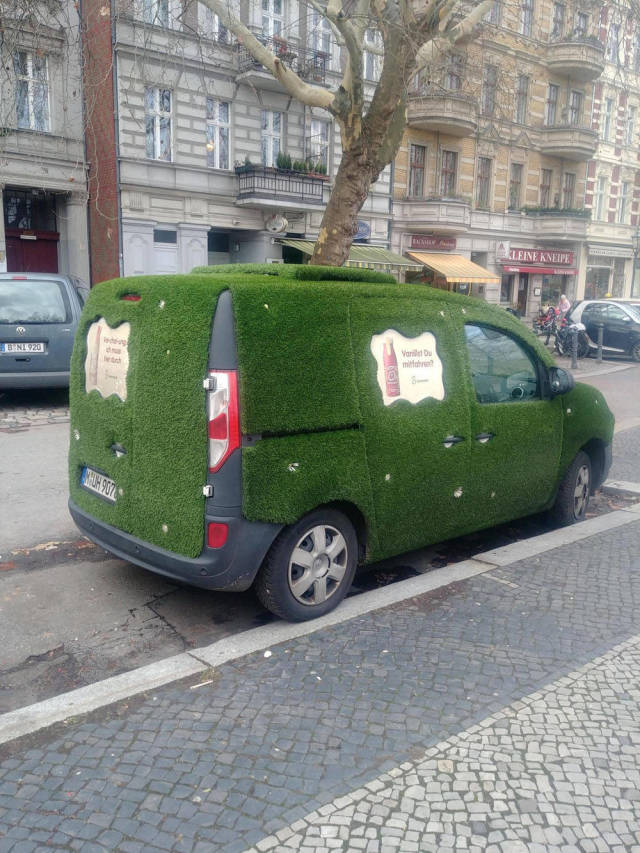 Morning Picdump