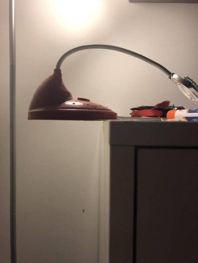 Morning Picdump