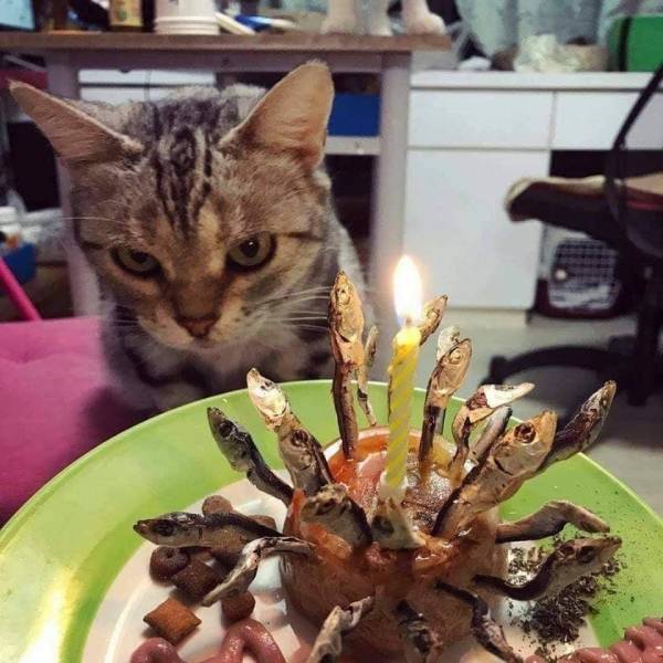 daily picdump 96 pics 1.html - 96 HD Photos | Premium Gallery 2019