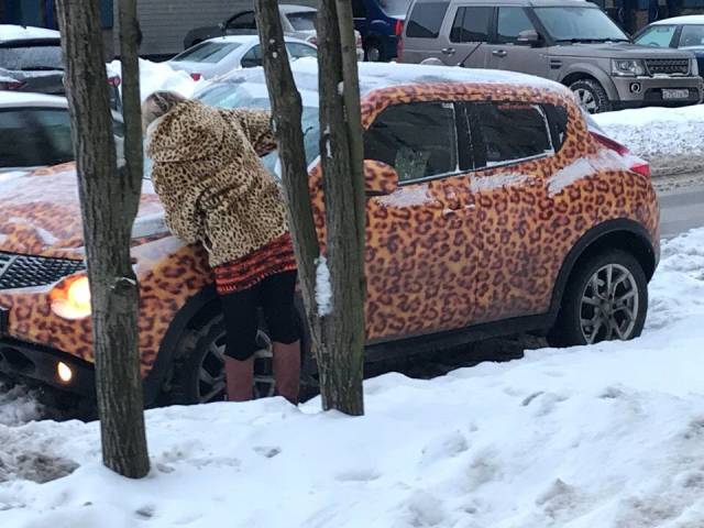 daily picdump 96 pics 1.html - 96 HD Photos | Premium Gallery 2019
