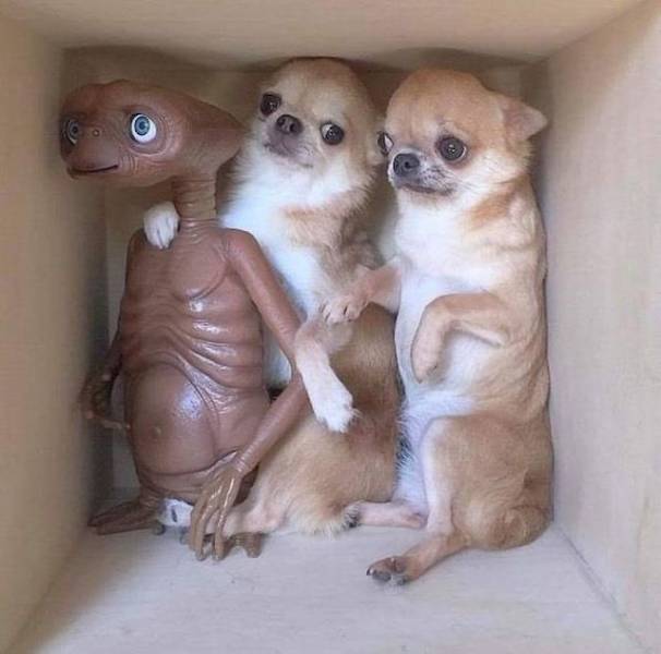 daily picdump 96 pics 1.html - 96 HD Photos | Premium Gallery 2019