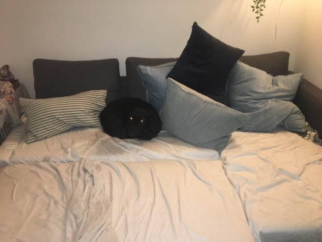 daily picdump 96 pics 1.html - 96 HD Photos | Premium Gallery 2019