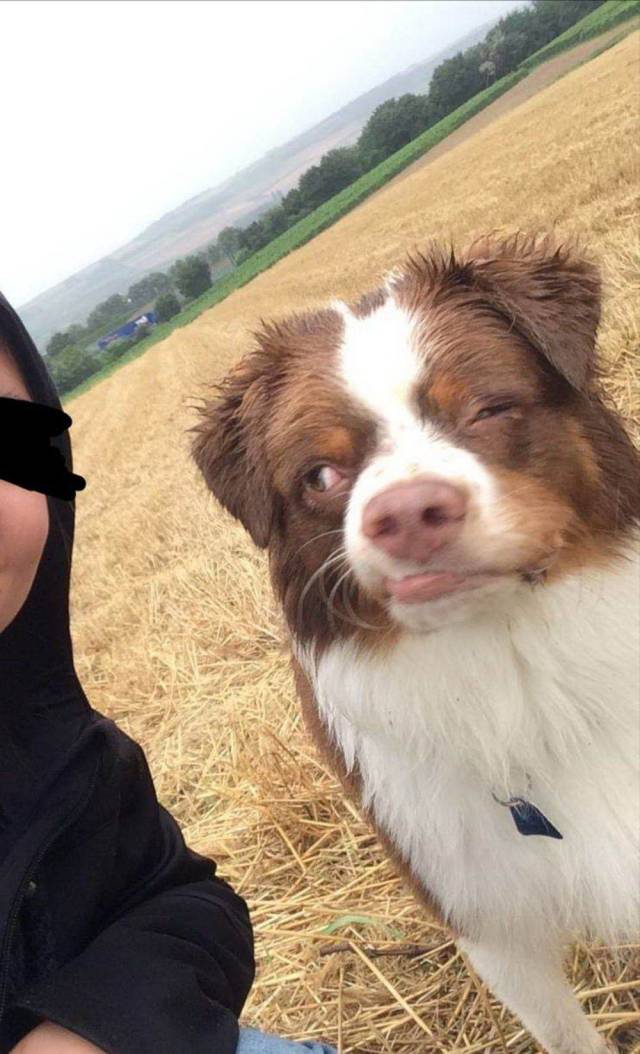 daily picdump 96 pics 1.html - 96 HD Photos | Premium Gallery 2019