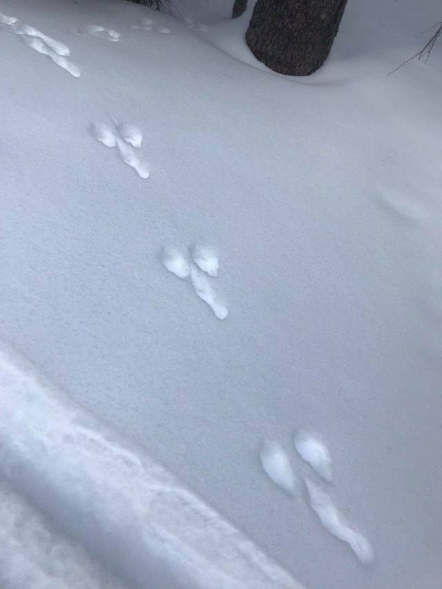 daily picdump 96 pics 1.html - 96 HD Photos | Premium Gallery 2019
