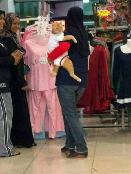 Morning Picdump