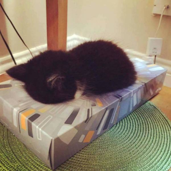 Morning Picdump