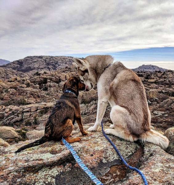 morning picdump 55 pics 2.html - 55 HD Photos | Premium Gallery 2019
