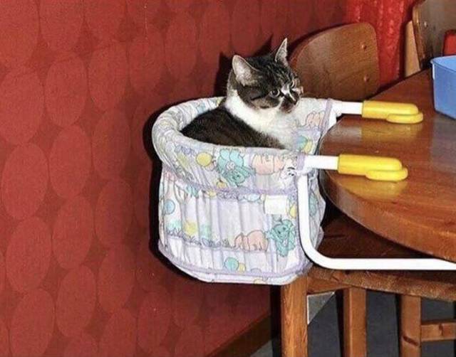 morning picdump 55 pics 2.html - 55 HD Photos | Premium Gallery 2019