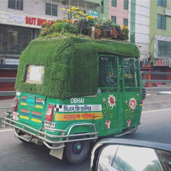 morning picdump 55 pics 2.html - 55 HD Photos | Premium Gallery 2019