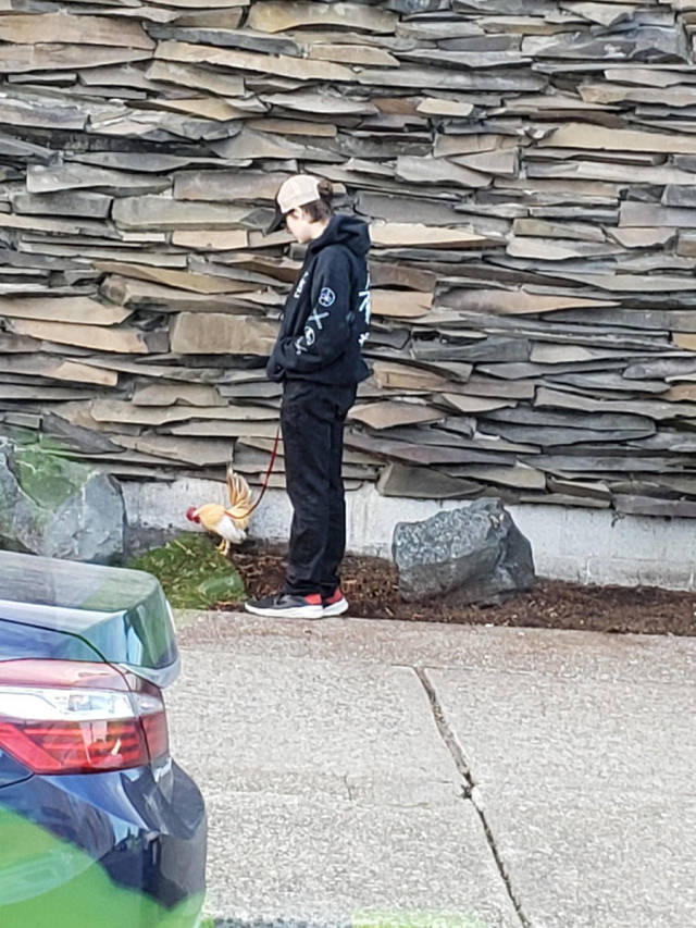 morning picdump 55 pics 2.html - 55 HD Photos | Premium Gallery 2019