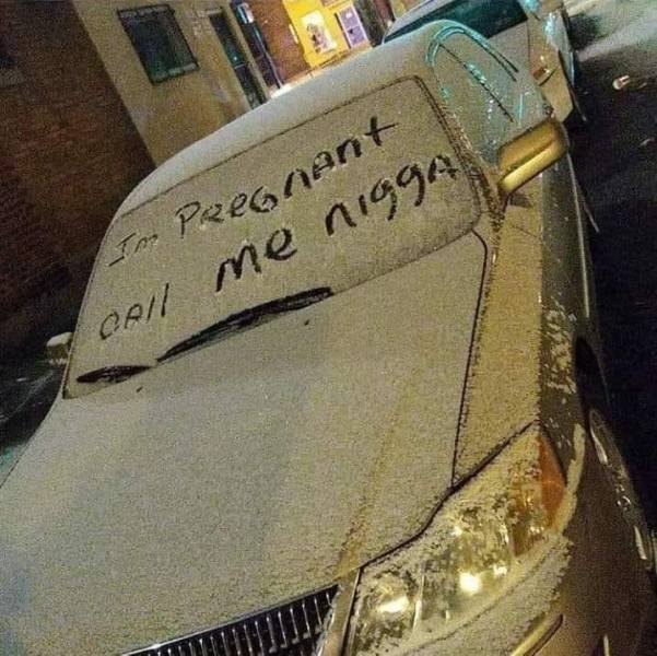 Daily Picdump
