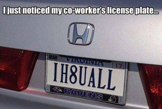 Daily Picdump