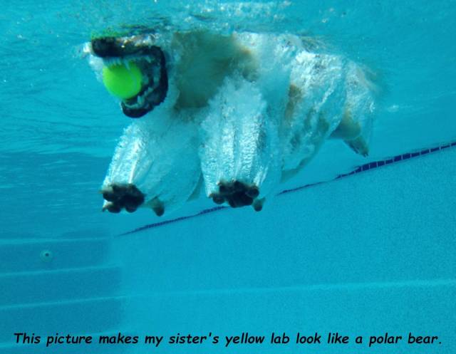 Daily Picdump