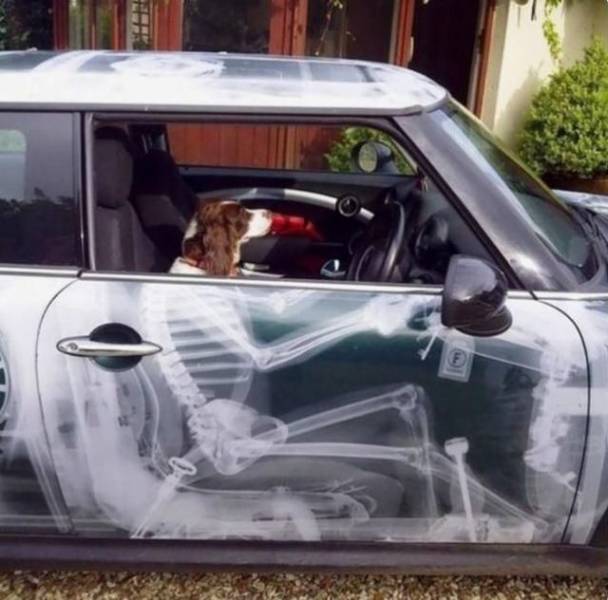 Daily Picdump