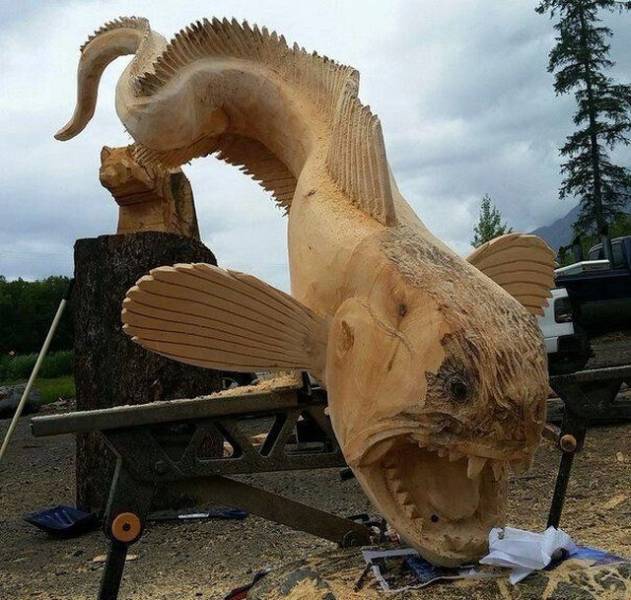 Daily Picdump