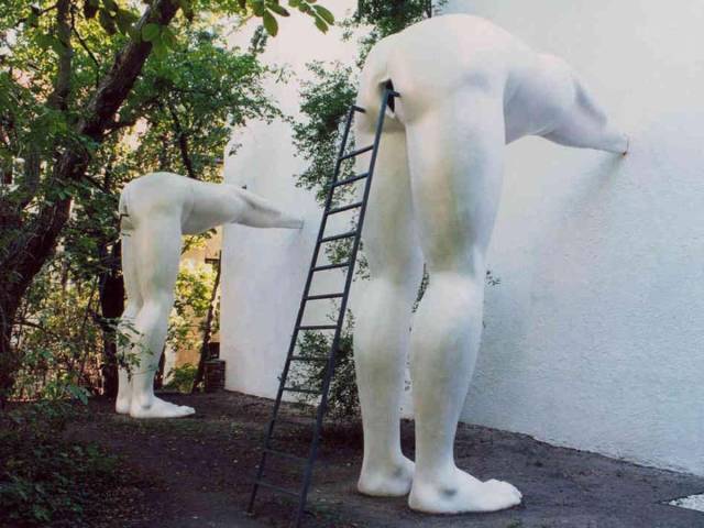 Daily Picdump