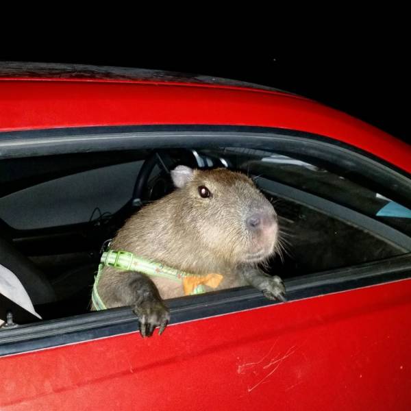 Daily Picdump