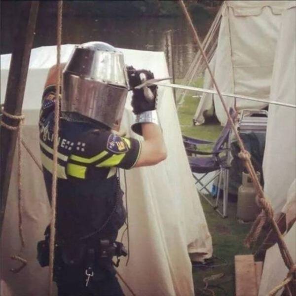 Daily Picdump