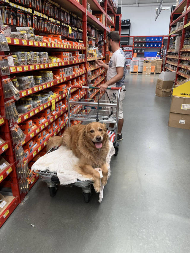 morning picdump 50 pics 4.html - 50 HD Photos | Premium Gallery 2019