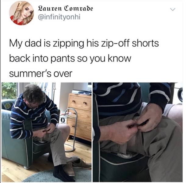 page,5,top 250 funny pics of the year 2019.html - 1 HD Photos | Premium Gallery 2019