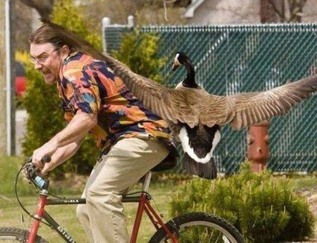 daily picdump 95 pics 24.html - 95 HD Photos | Premium Gallery 2019