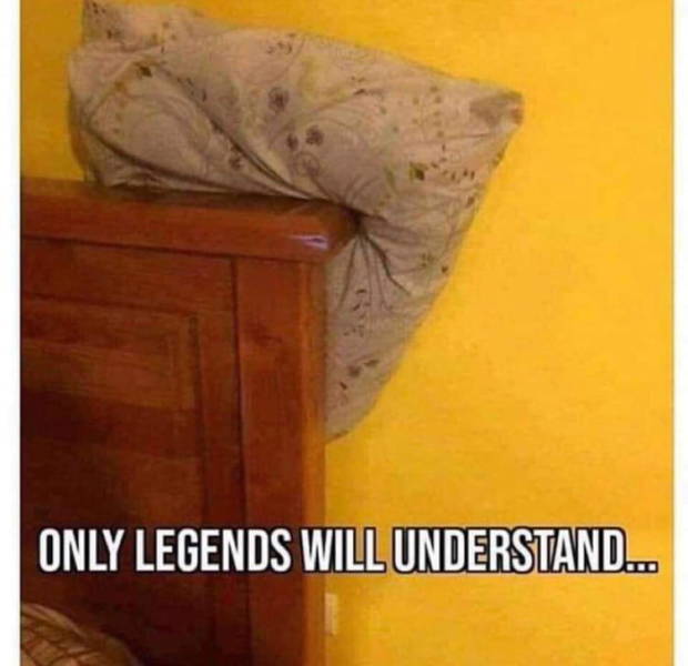 page,5,top 250 funny pics of the year 2019.html - 1 HD Photos | Premium Gallery 2019