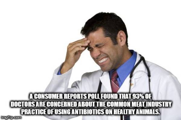 Everyone Likes Facts!