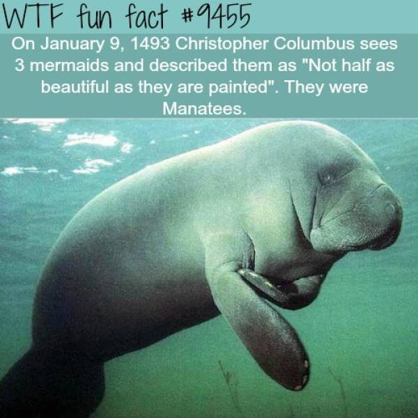 Everyone Likes Facts!