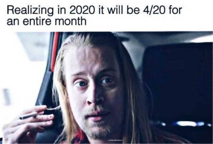 Drunk People Do So Many Stupid Things