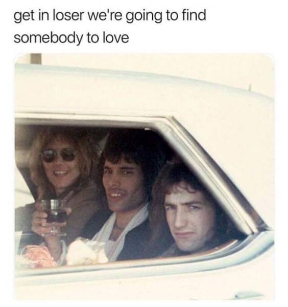 page,5,top 250 funny pics of the year 2019.html - 1 HD Photos | Premium Gallery 2019