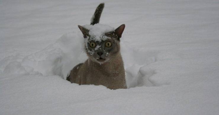 Daily Picdump