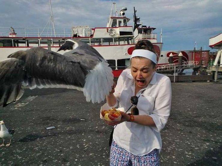 daily picdump 103 pics 2.html - 103 HD Photos | Premium Gallery 2019